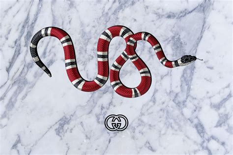 gucci snake iphone wallpaper|Awesome Gucci Snake Logo Wallpapers .